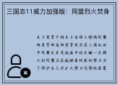 三国志11威力加强版：同盟烈火焚身